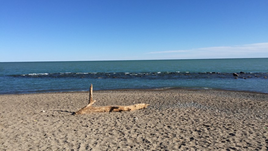 Woodbine Beach, nesta foto de 19 de março de 2016. DIANA PEREIRA / CityNews Woodbine Beach, nesta foto de 19 de março de 2016. DIANA PEREIRA / CityNews