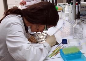 ENSINO SUPERIOR: ENGENHARIA E SAÚDE ENTRE AS ÁREAS QUE AUMENTAM OFERTA