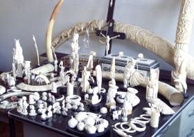 GOVERNO ANGOLANO PEDE COLABORAÇÃO DE ARTESÃOS PARA CATALOGAR PEÇAS DE MARFIM