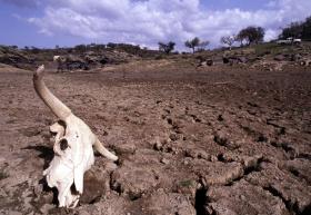 MAIS DE 47 MIL AFETADOS PELA SECA BENEFICIAM DE ASSISTÊNCIA ALIMENTAR EM MOÇAMBIQUE
