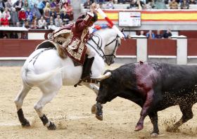 PARLAMENTO CHUMBA PROJETOS DE LEI PARA ACABAR COM FINANCIAMENTO PÚBLICO DAS TOURADAS