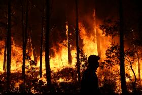 DISPOSITIVO DE COMBATE A INCÊNDIOS ESTÁ “EM POTÊNCIA MÁXIMA” – MINISTRA