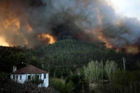 PJ DETEVE PRESUMÍVEL AUTOR DE VÁRIOS CRIMES DE INCÊNDIO EM GUIMARÃES