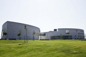 MAPEADAS PELA PRIMEIRA VEZ LIGAÇÕES NEURAIS ENTRE ZONAS DO CÉREBRO DISTANTES