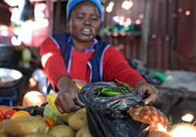 PROCURA MUNDIAL DE ALIMENTOS VAI ABRANDAR NA PRÓXIMA DÉCADA