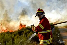 INCÊNDIOS: FOGO DE VALE DE CAMBRA LONGE DE ESTAR DOMINADO – CDOS