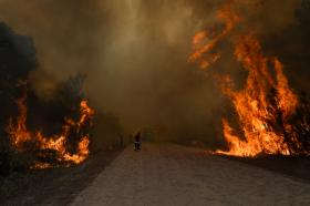 FINANCIADOS 10 PROJETOS COM 4,2 ME PARA REDUZIR RISCOS DE INCÊNDIOS FLORESTAIS