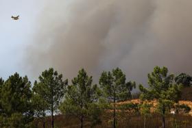 INCÊNDIOS: QUASE 250 BOMBEIROS COMBATEM QUATRO FOGOS EM BRAGA, CASTELO BRANCO, BRAGANÇA E VISEU