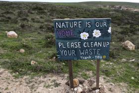 PLANOS DE LIMPEZA DE MATAS ESTÃO A REDUZIR FOGOS FLORESTAIS NO ALGARVE – AUTORIDADES