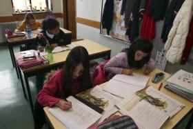 MAIS TRABALHOS DE CASA NÃO SIGNIFICAM MAIOR SUCESSO ESCOLAR, APONTA ESTUDO