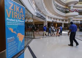 MAIS DE 1,6 MILHÕES DE GRÁVIDAS PODERÃO SER INFETADAS COM O ZIKA NAS AMÉRICAS – ESTUDO