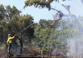 INCÊNDIOS: MAIS DE 60 BOMBEIROS COMBATEM FOGO EM ALCANENA