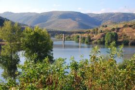 CP RECONHECE DIFICULDADES EM AJUSTAR OFERTA E PROCURA NA LINHA DO DOURO