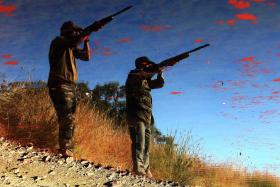 INCÊNDIOS: CAÇADORES DEFENDEM PROIBIÇÃO TOTAL DA CAÇA NOS TERRENOS LIVRES