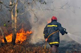 FOGO EM CABECEIRAS DE BASTO DOMINADO, CONTINUAM MEIOS NO TERRENO