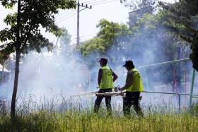 ZIKA: CUBA REPORTOU DOIS NOVOS CASOS AUTÓCTONES