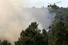 MAIS DE 250 BOMBEIROS COMBATEM FOGOS EM ARCOS DE VALDEVEZ, BENAVENTE E GONDOMAR