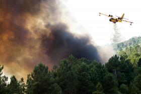 DOMINADO INCÊNDIO FLORESTAL NO CONCELHO DA GUARDA