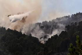 MAIS DE 450 BOMBEIROS COMBATEM FOGOS FLORESTAIS EM VÁRIAS ZONAS DO PAÍS