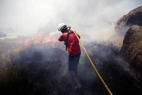 FOGO EM VALE DE CAMBRA COM TRÊS FRENTES COMBATIDO POR 113 HOMENS