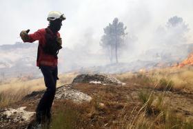 A29 CORTADA DEVIDO A FOGO EM VALE DE CAMBRA, AVEIRO