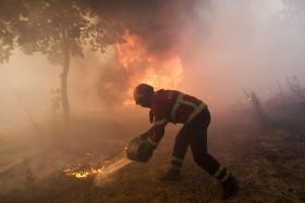 TRINTA E QUATRO CONCELHOS DO CONTINENTE EM RISCO ‘MÁXIMO’ DE INCÊNDIO