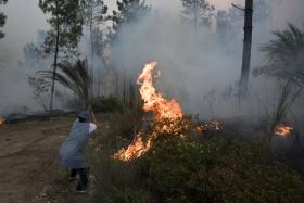 INCÊNDIOS: CASAS “SISTEMATICAMENTE EM RISCO” EM PRÉSTIMO, ÁGUEDA – AUTARCA
