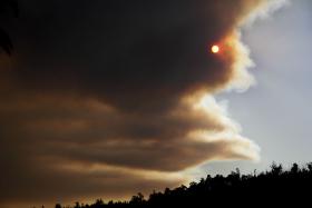 INCÊNDIOS: ACIONADO PLANO DISTRITAL DE EMERGÊNCIA PARA O PORTO