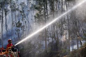 FOGO QUE AMEAÇOU CASAS E FÁBRICAS EM VALONGO CONSIDERADO DOMINADO