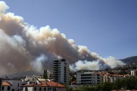 INCÊNDIOS: ASSOCIAÇÃO DO FUNCHAL RECEBEU DOAÇÕES PARA OS ANIMAIS SUFICIENTES PARA UM MÊS