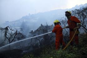 DETIDO SUSPEITO DE TER ATEADO FOGO QUE LAVRA EM CASTANHEIRA DE PERA