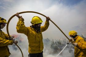 INCÊNDIOS: PREJUÍZOS NO FUNCHAL ASCENDEM A 61 MILHÕES DE EUROS – RELATÓRIO