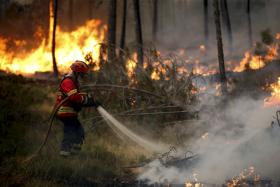 INCÊNDIOS: CERCA 35% DOS FOGOS QUE FUSTIGAM O ALTO MINHO “TÊM MÃO HUMANA”