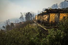 MADEIRA VAI PRECISAR DE 157 MILHÕES PARA FAZER FRENTE AOS PREJUÍZOS CAUSADOS PELOS INCÊNDIOS