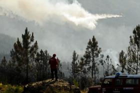 INCÊNDIOS: MAIS DE 230 BOMBEIROS COMBATEM FOGO COM TRÊS FRENTES EM MAÇÃO