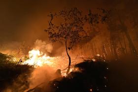 INCÊNDIOS: MAIS DE 2.400 OPERACIONAIS COMBATEM MAIORES  FOGOS NO CONTINENTE E NA MADEIRA