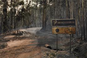 INCÊNDIOS: NOITE MAIS CALMA, COMBATE VAI SER REFORÇADO COM MEIOS AÉREOS