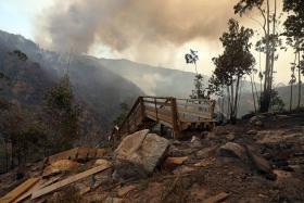 AROUCA QUER IMPOR LIMITES À REFLORESTAÇÃO COM EUCALIPTO, QUE “ARDE COMO PÓLVORA”