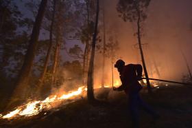 PROTEÇÃO CIVIL ESPERA DOMINAR EM BREVE FOGO DE ÁGUEDA, AROUCA REATIVOU