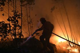 TRIBUNAL DECLARA PRISÃO PREVENTIVA PARA INCENDIÁRIO DE ALCANENA