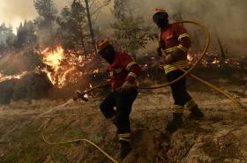 INCÊNDIOS: SITUAÇÃO DE AROUCA É O QUE MAIS PREOCUPA A PROTEÇÃO CIVIL