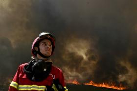INCÊNDIO NA SERRA DE GRÂNDOLA MOBILIZA MAIS DE 100 BOMBEIROS