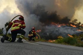 ASSOCIAÇÃO CÍVICA QUER QUE GOVERNO DIVULGUE “MILHÕES DE EUROS” GASTOS NO COMBATE A INCÊNDIOS