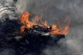 CINCO DISTRITOS DO CONTINENTE COM RISCO “MUITO ELEVADO” DE INCÊNDIO