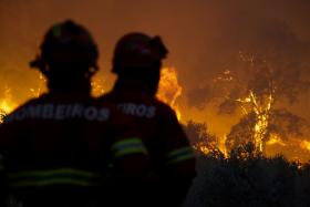 INCÊNDIOS: MEIA CENTENA DE OPERACIONAIS COMBATE CHAMAS EM CABRIL