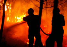 INCÊNDIO EM CURTINHAS, SANTO TIRSO, EM FASE DE RESOLUÇÃO