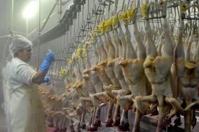 INDUSTRIAIS DE AVES ALERTAM PARA ROTULAGEM FRAUDULENTA NOS FRANGOS