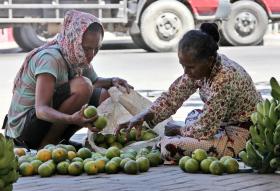 MAIS DE 120 MIL PESSOAS AINDA SEVERAMENTE AFETADAS PELO FENÓMENO EL NIÑO EM TIMOR-LESTE