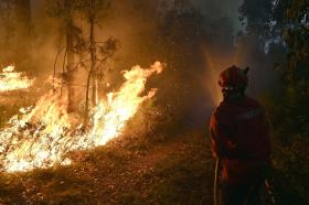FOGO EM CABRIZ, RIBEIRA DE PENA, CONTINUA COM BASTANTE INTENSIDADE