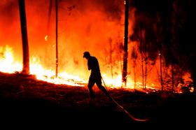 MAIS DE 20 CONCELHOS COM RISCO ‘MÁXIMO’ DE INCÊNDIO